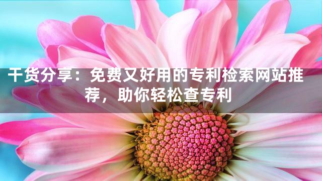 干貨分享：免費又好用的專利檢索網站推薦，助你輕松查專利