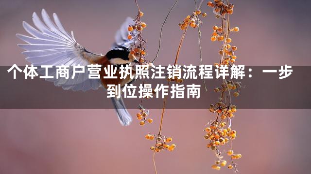個體工商戶營業執照注銷流程詳解：一步到位操作指南