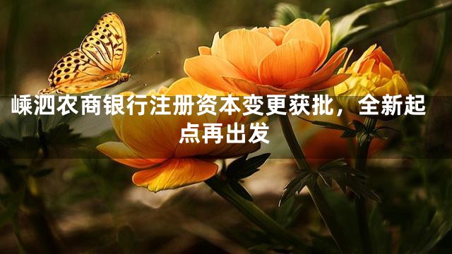 嵊泗農商銀行注冊資本變更獲批，全新起點再出發