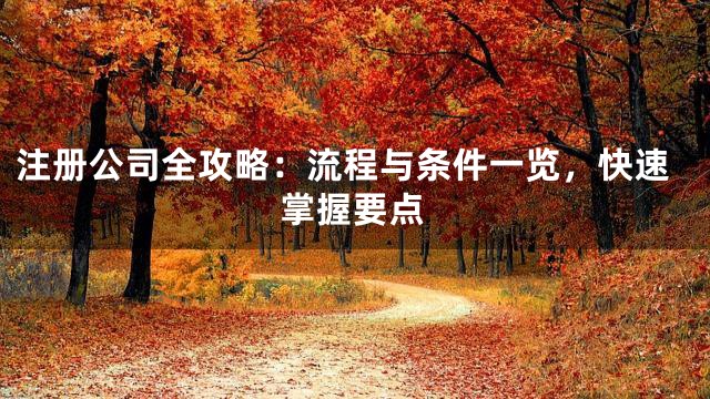 注冊公司全攻略：流程與條件一覽，快速掌握要點