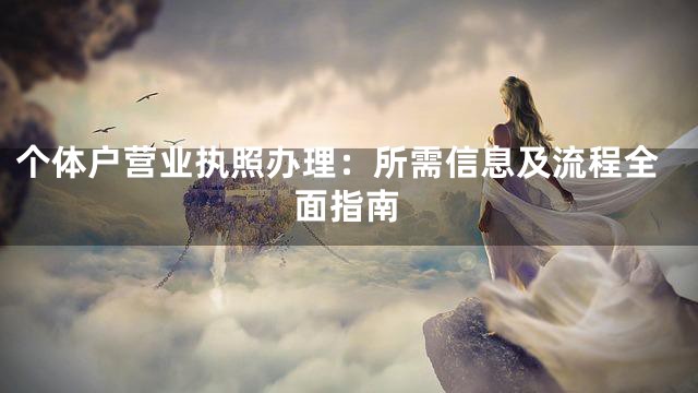 個體戶營業執照辦理：所需信息及流程全面指南