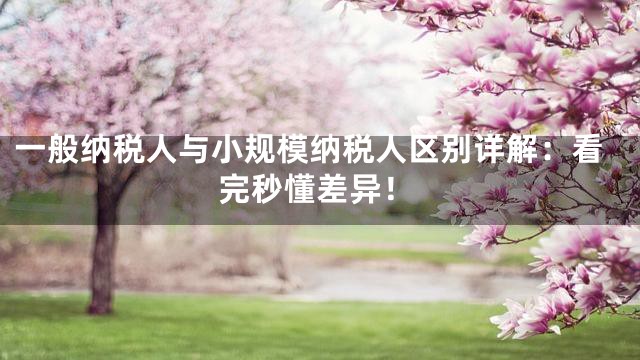 一般納稅人與小規模納稅人區別詳解：看完秒懂差異！