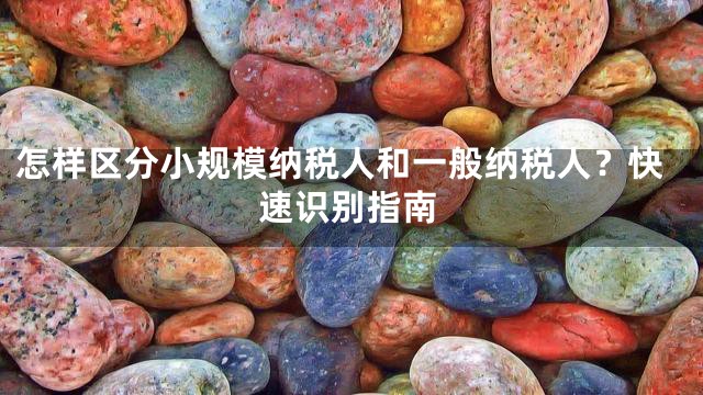 怎樣區分小規模納稅人和一般納稅人？快速識別指南