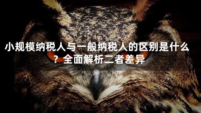 小規模納稅人與一般納稅人的區別是什么？全面解析二者差異