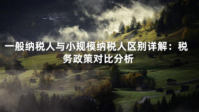 一般納稅人與小規模納稅人區別詳解：稅務政策對比分析